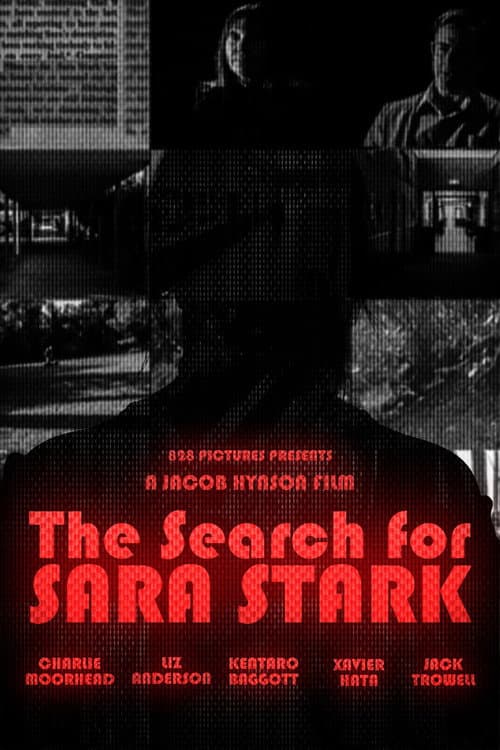 The Search for Sara Stark poster