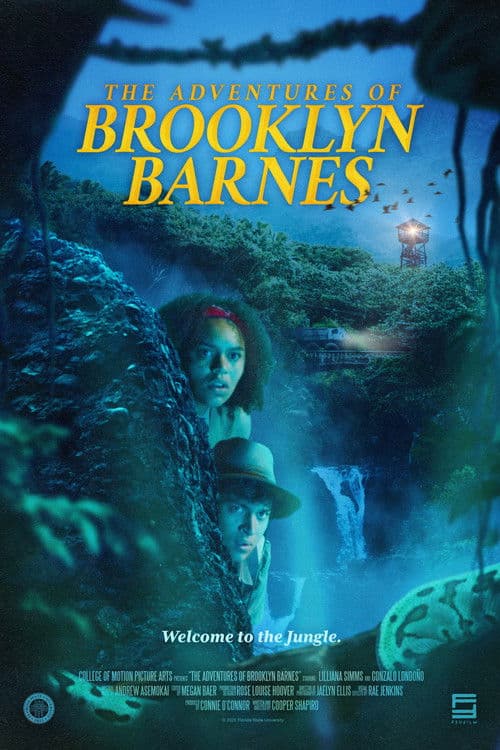The Adventures of Brooklyn Barnes poster