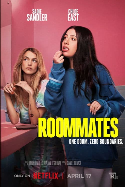 Roommates poster
