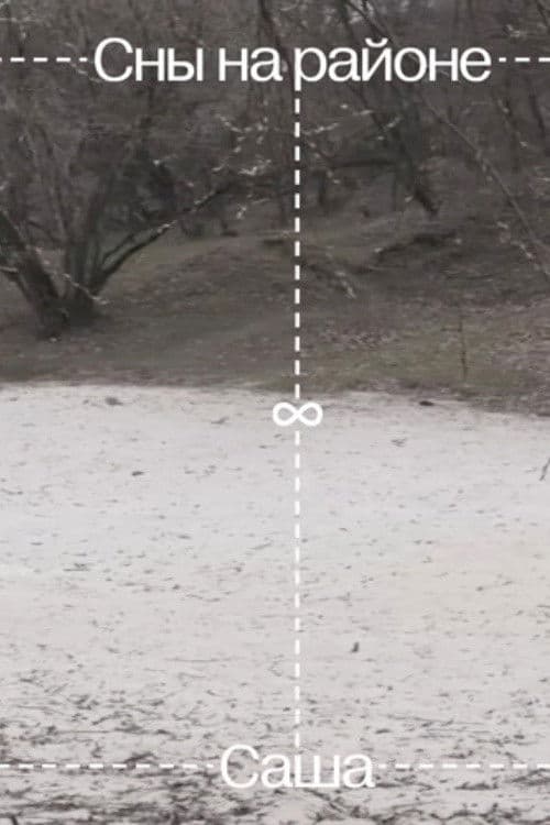 Daydreaming in the Hood poster