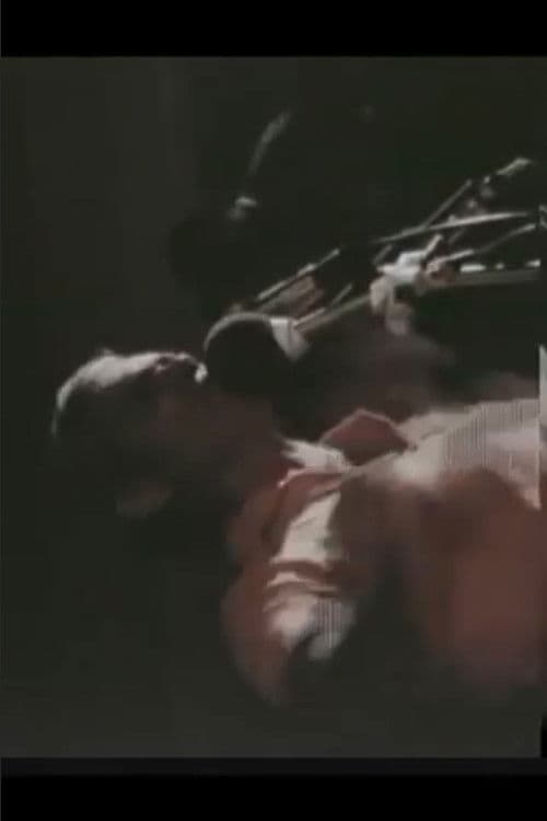 Land of My Birth poster