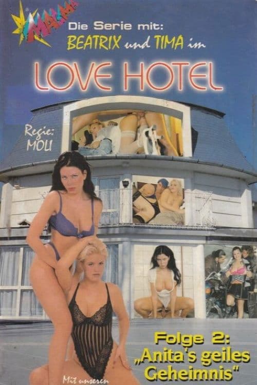 Love Hotel 2: Anitas geiles Geheimnis poster