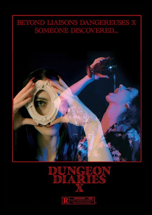 Dungeon Diaries X poster