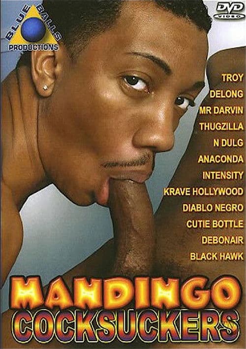 Mandingo Cocksuckers poster