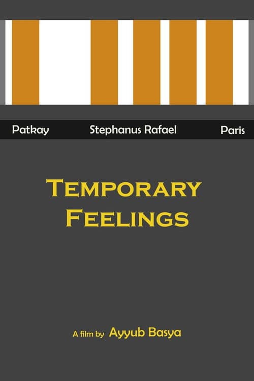 Temporary Feelings poster