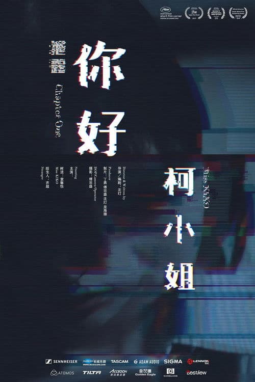 你好，柯小姐 poster