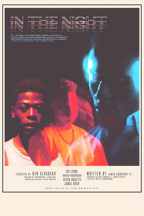 In The Night poster