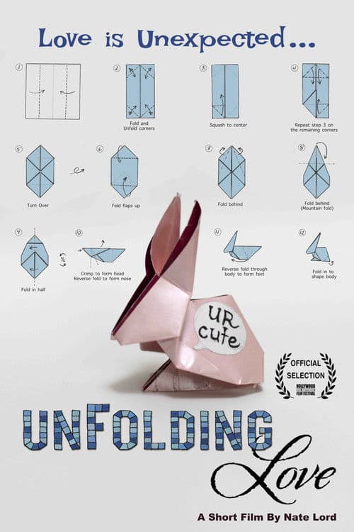 Unfolding Love poster