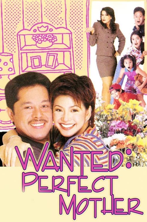 Wanted: Perfect Mother poster