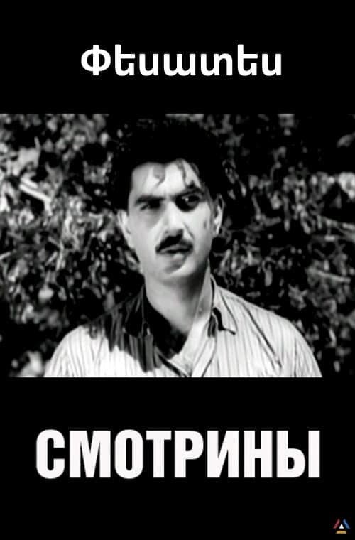 Visiting the Groom poster