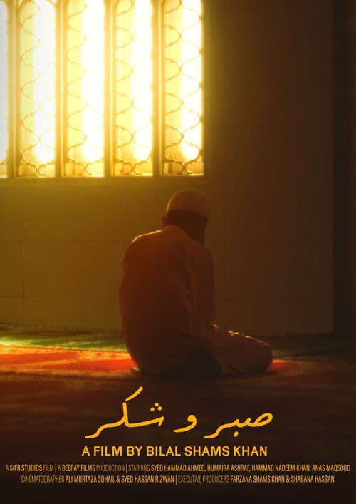 Sabr O Shukr poster
