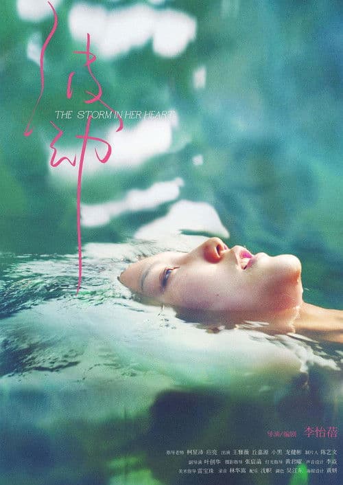 The Storm in Her Heart poster