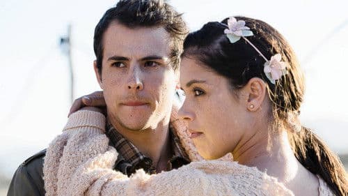 Hollywood in my House poster