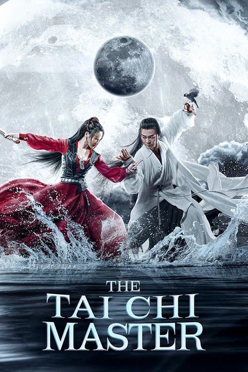 The Tai Chi Master poster