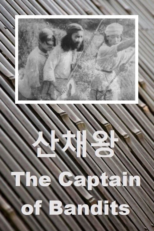 The Captain of Bandits poster