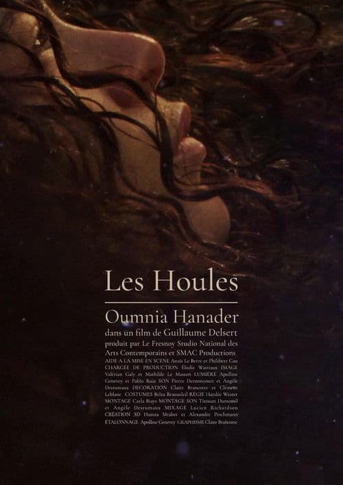 Les Houles poster