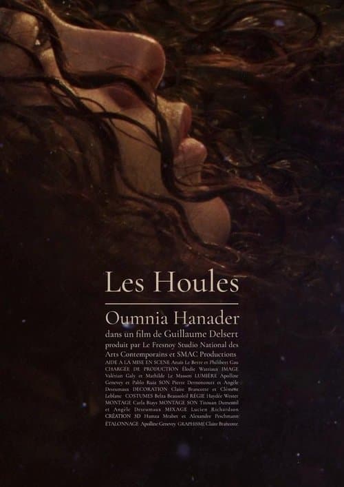Les Houles poster
