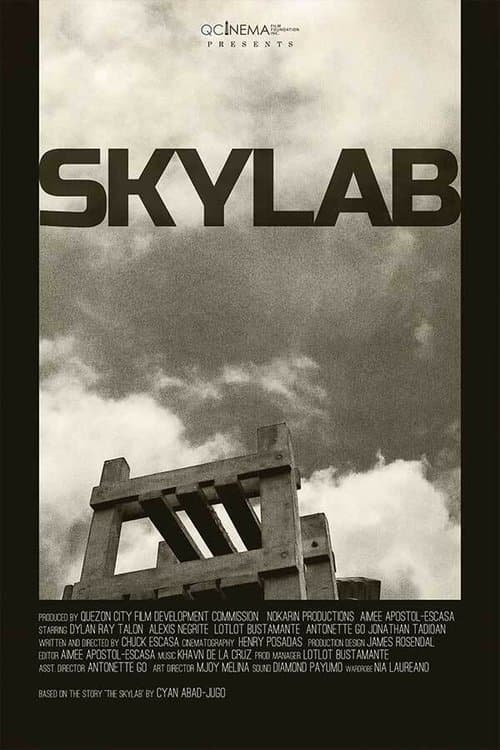 Skylab poster
