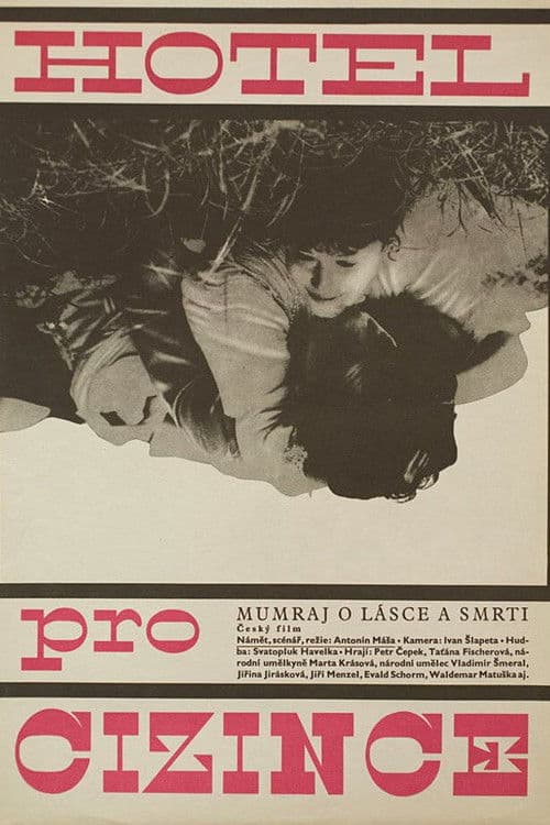 Hotel for Strangers poster