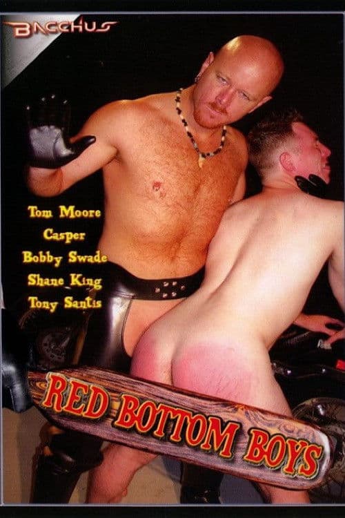 Red Bottom Boys poster