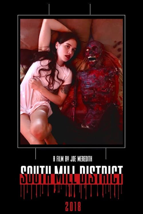 South Mill District poster