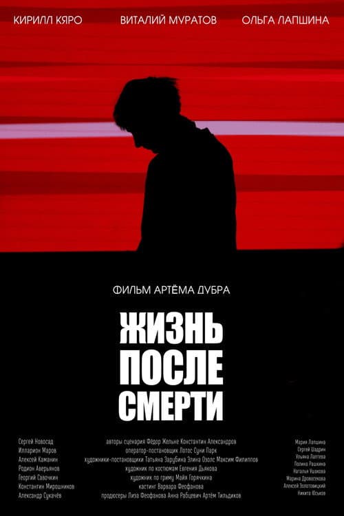 Жизнь после смерти poster