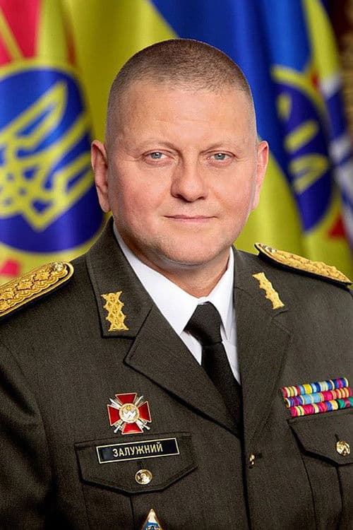 Valerii Zaluzhnyi profile photo