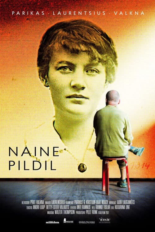 The Woman in the Picture poster