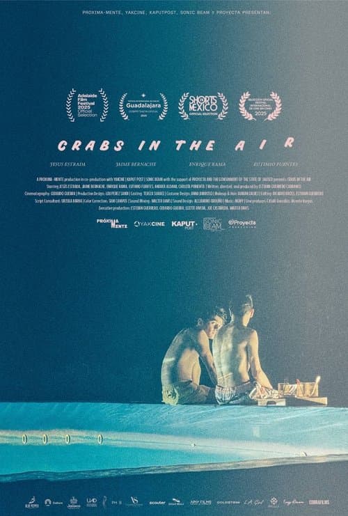 Crabs in the Air poster