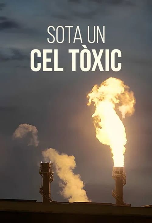Der giftige Himmel von Tarent: Chronik einer geduldeten Umwelt-Katastrophe poster