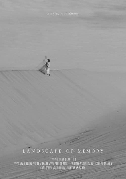 Landscape of Memory poster
