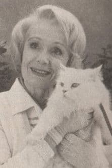 Comme chien et chat poster