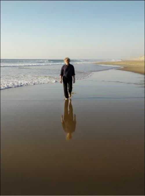 The Longing of Michael Dudok de Wit poster