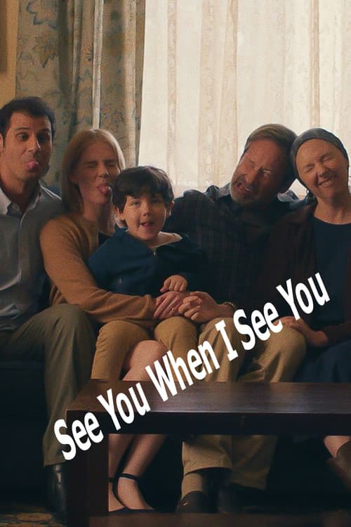 See You When I See You poster