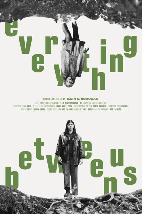 Everything Between Us poster