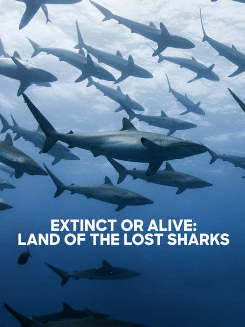 Extinct or Alive: Land of the Lost Sharks poster