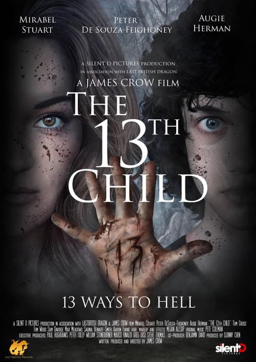 The 13th Child poster