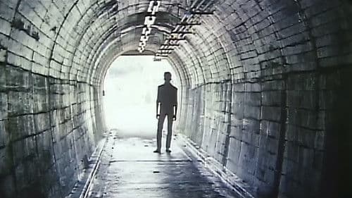 The Serial Rape Murderer poster