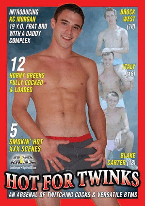 Hot for Twinks poster