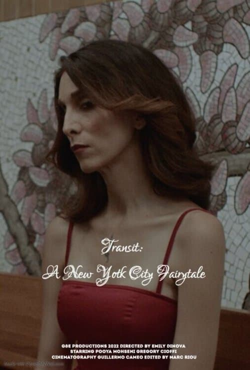Transit: A New York City Fairytale poster