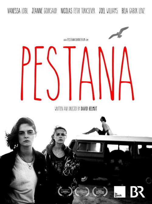 Pestana poster