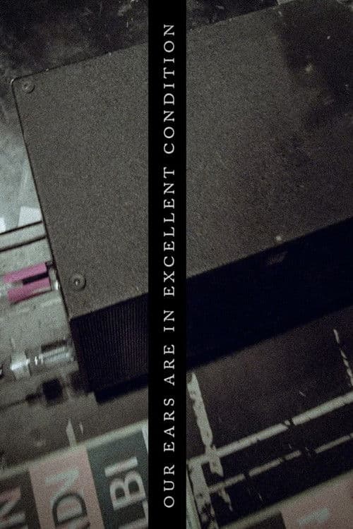 Our Ears are in excellent condition poster