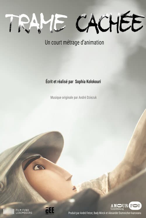 Hidden Play poster