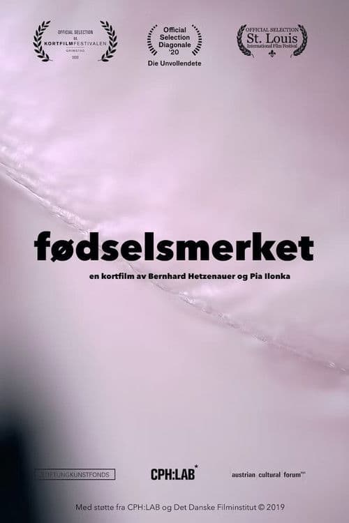 The Birthmark poster