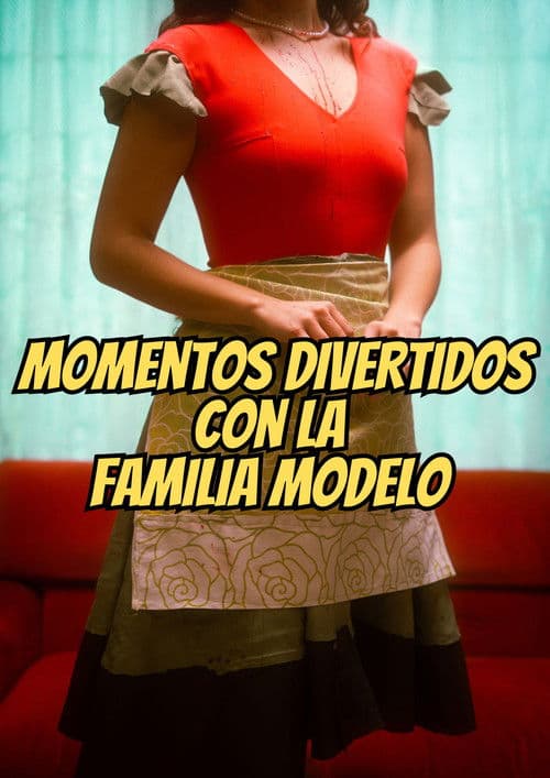 Funny Moments With The Model Family poster