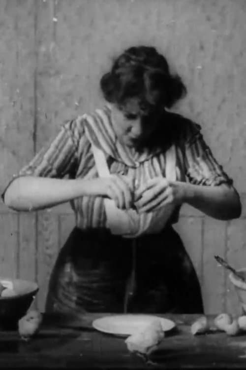 Chicks to Order poster