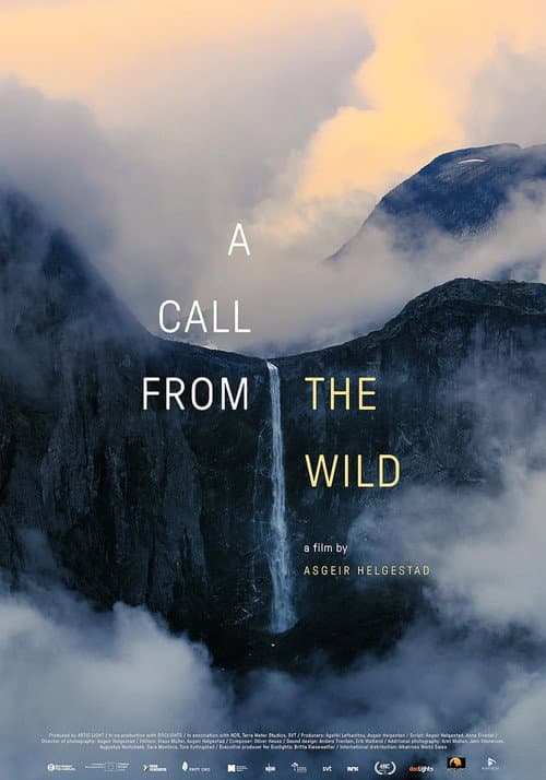 A Call from the Wild poster