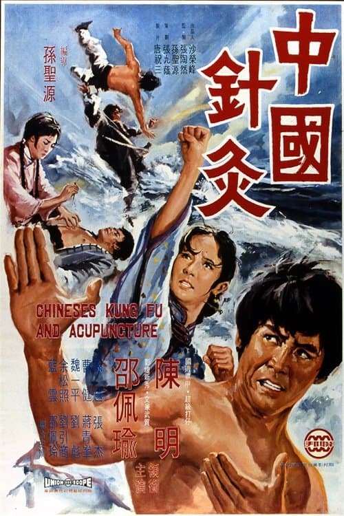 Chinese Kung Fu and Acupuncture poster
