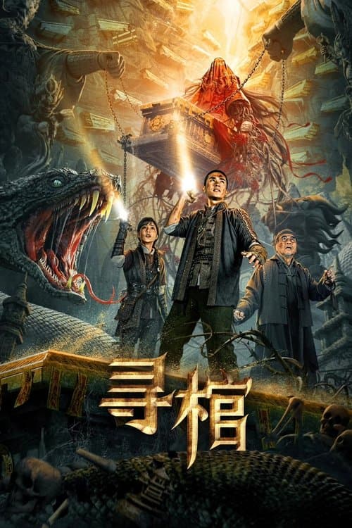 Search for Coffin poster