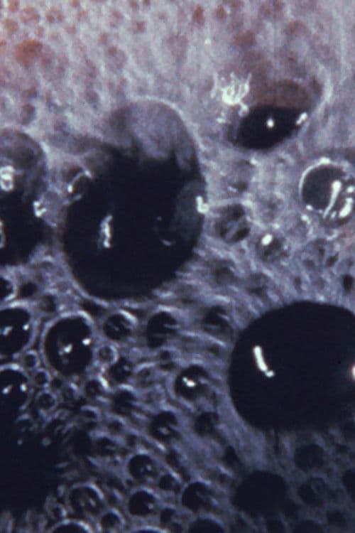 The Play of Life poster